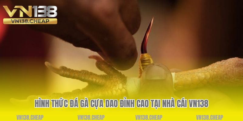 Hình thức đá gà cựa dao đỉnh cao tại nhà cái VN138