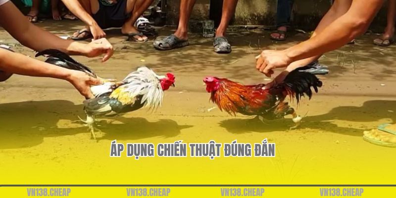 Áp dụng chiến thuật đúng đắn