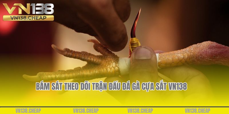 Bám sát theo dõi trận đấu đá gà cựa sắt vn138