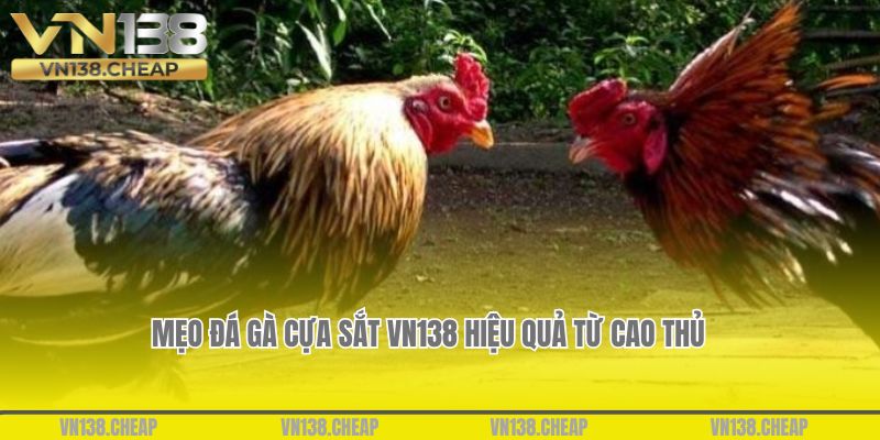 Mẹo đá gà cựa sắt vn138 hiệu quả từ cao thủ