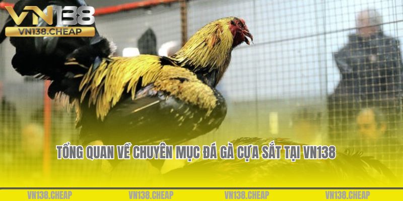 Tổng quan về chuyên mục đá gà cựa sắt tại VN138