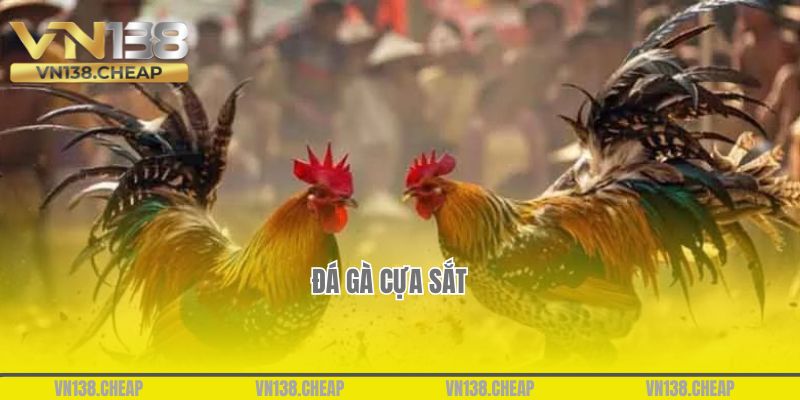 Đá gà cựa sắt