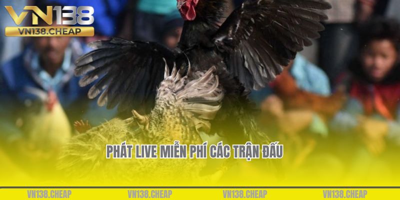 Phát live miễn phí các trận đấu