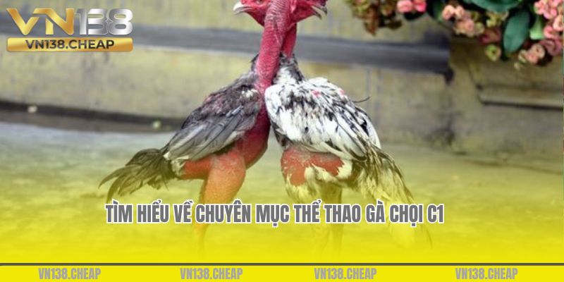 Tìm hiểu về chuyên mục thể thao gà chọi c1