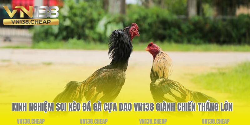 Kinh nghiệm soi kèo đá gà cựa dao VN138 giành chiến thắng lớn 